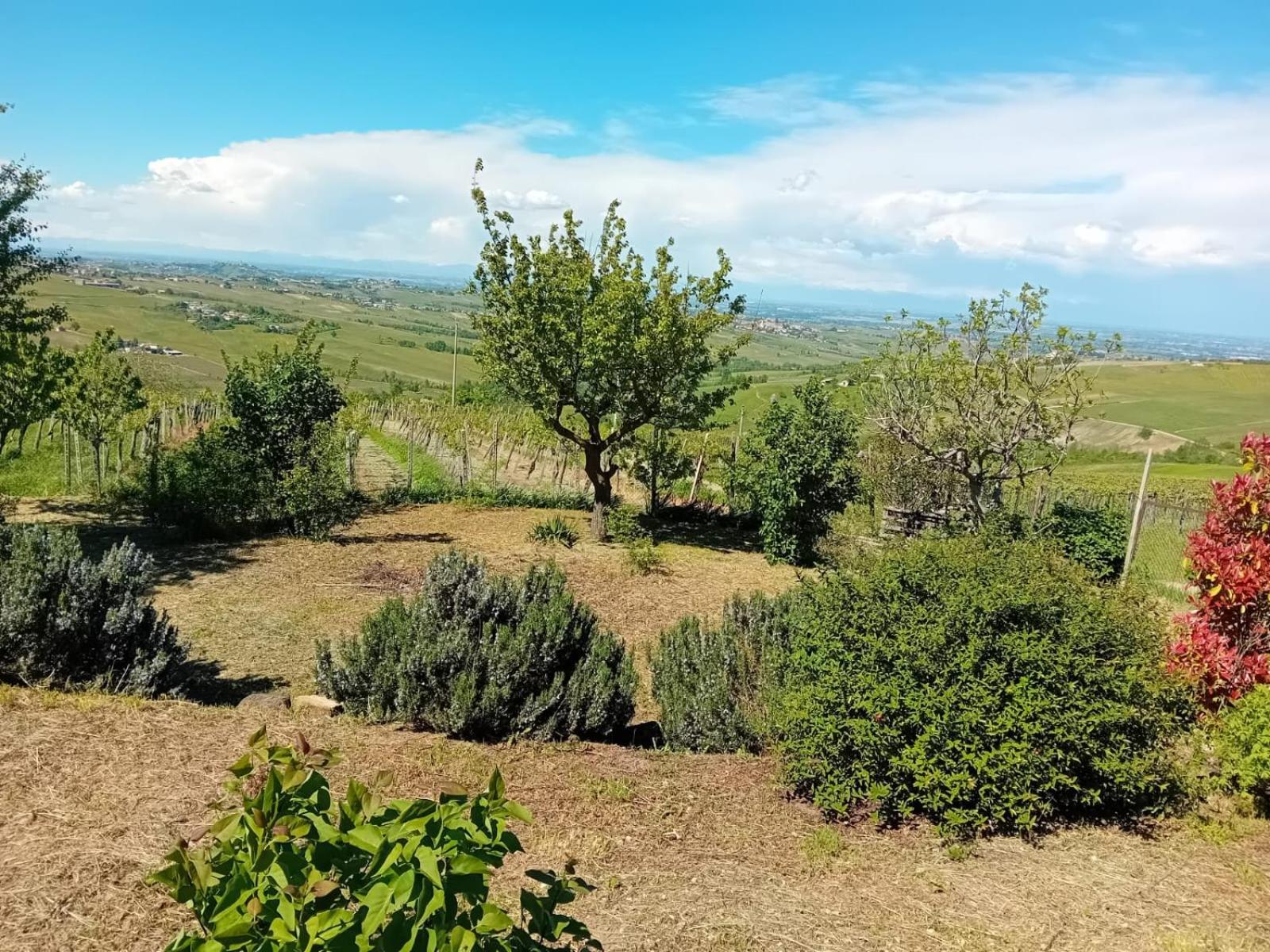 Nife Tiny House - Secret Garden Villa Montalbo Eksteriør billede
